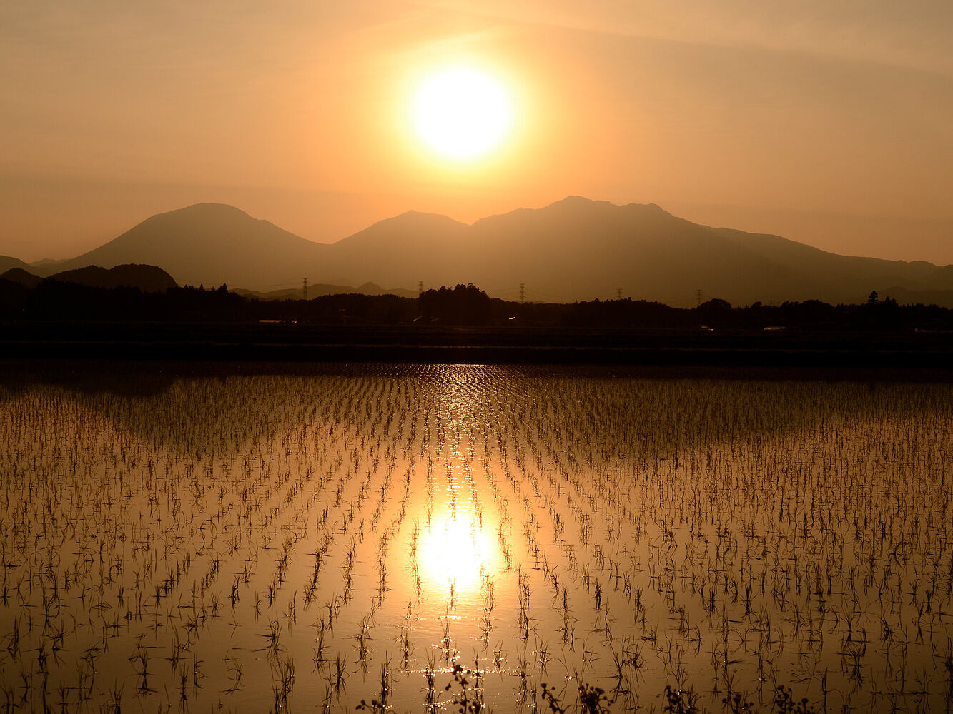 塩野室町