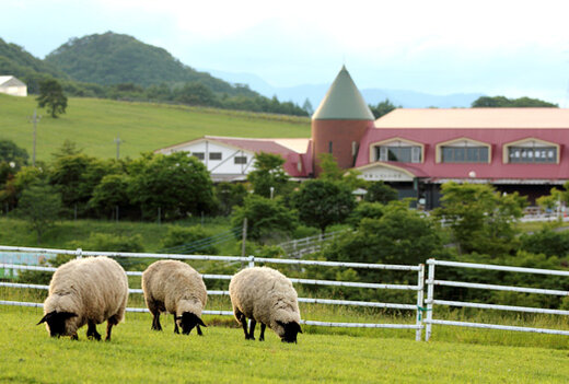 日光霧降高原　大笹牧場（株）